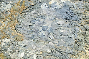 Microporous texture of a clay conglomerate