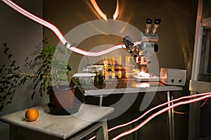 Micropropagation of plants in vitro laboratory research. Indoor houseplant of orange in a pot, test tubes with