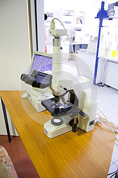 Microscope Analyzing Cells