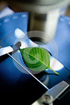 Microscope in bio laboratory