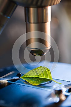 Microscope in bio laboratory