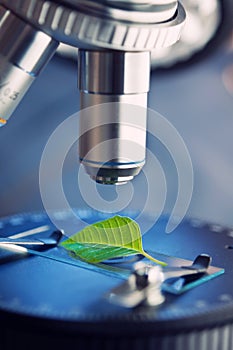 Microscope in bio laboratory