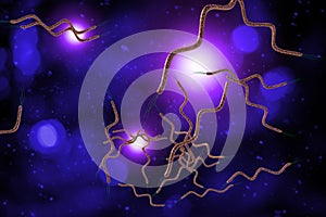Spirilla Bacteria 3D Illustration