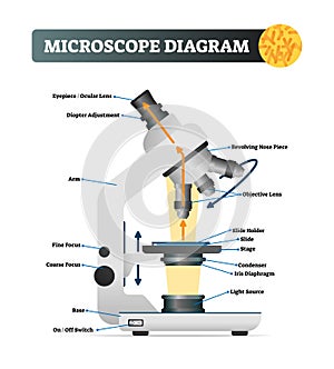 Microscope diagram vector illustration. Labeled zoom instrument structure.