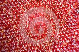 Microscope image of violet flower petal cells