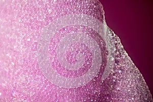 Microscope image of violet flower petal cells