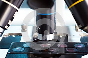 Microscope in Laboratory photo