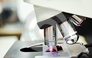 Microscope lense on Wright-Giemsa stained slide