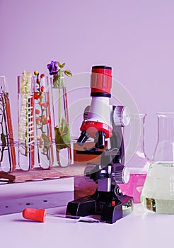 microscope and small plant in test tube , lab biotechnology concept.