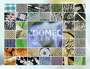 Microscope Snapshots: Various, Zoomed Things