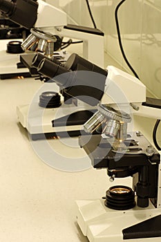 Microscopes laboratory