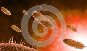 Microscopic bacteria in orange background