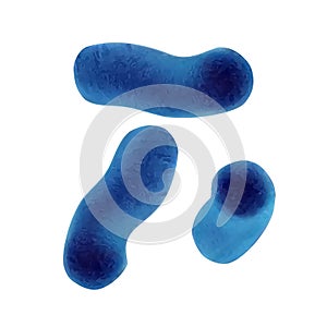 Microscopic Blue Vegetative Cell Bacterias Vector
