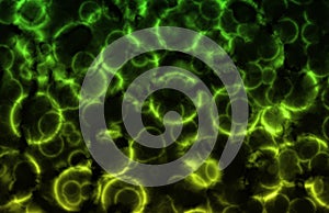 Microscopic Cell Organisms Abstract Background