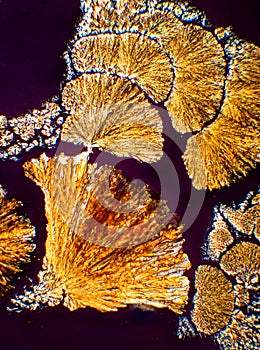 Microscopic crystals