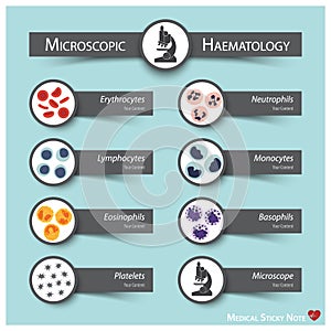 Microscopic Haematology