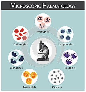 Microscopic haematology