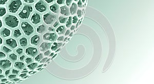 Microscopic honeycomb structure with water droplets