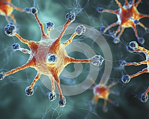 Microscopic Orange and Blue Cells Network