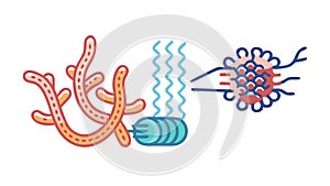 Microscopic Organisms Cells - Biology Science, vector design Generative AI