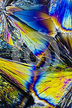 Microscopic Photo of Citric Acid Crystals