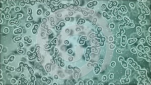 Microscopic plate of bacteria multiplying themselves