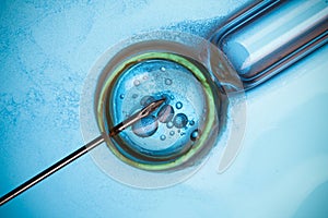 Microscopic research macro concept