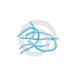 Microscopic spherical rod-shaped bacteria