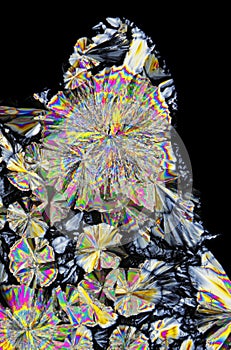 Microscopic view of citric acid crystals in polarized light