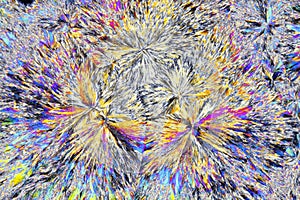 Microscopic view of citric acid crystals in polarized light photo