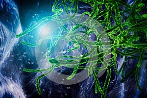 Microscopic view of the ebola virus illustration