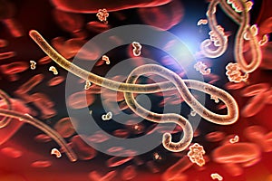 Microscopic view of the ebola virus illustration