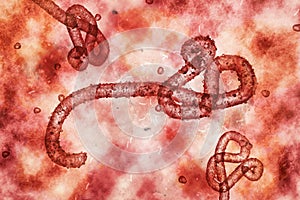 Microscopic view of the ebola virus illustration