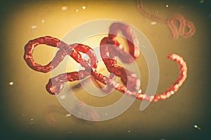 Microscopic view of the ebola virus illustration