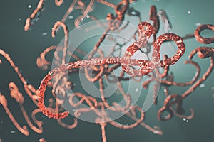 Microscopic view of the ebola virus illustration