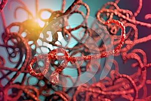 Microscopic view of the ebola virus illustration