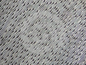 Microscopic View of the Epidermal Cells of an Onion