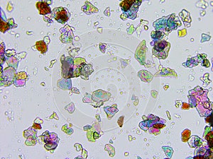 Microscopic view of face powder