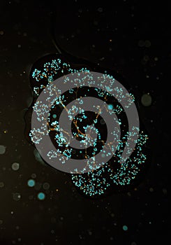 Microscopic View of Glowing Neural Network