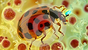 A microscopic view of a ladybugs including its short ovipositor and egglaying structures. . AI generation