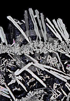 Microscopic view of potassium nitrate crystals in polarized light