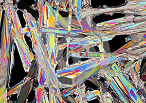 Microscopic view of potassium nitrate crystals in polarized light