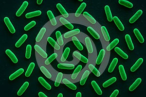 Microscopic View of Pseudomonas fluorescens Bacteria