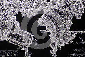 Microscopic view of sodium chloride crystals