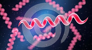 Microscopic view of spirochete bacteria