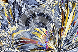 Microscopic view of sucrose crystals in polarized light