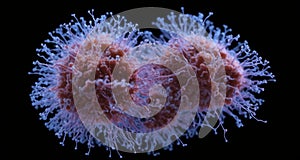 A microscopic view of a virus, a tiny but powerful threat