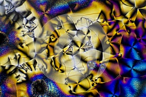 Microscopic Vitamin C Crystals