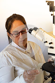 scientist observing samples photo