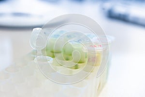 Microtube rack on the working surface in the scientific laboratory. Chemical equipment are on the white background. Clinical